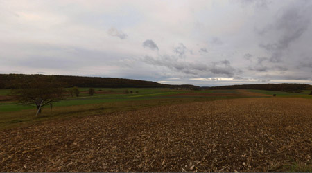 Picture01