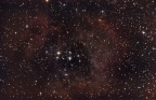 NGC 2237