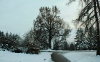 Winter 2022 0005