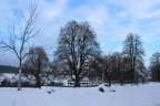 IMG 0298