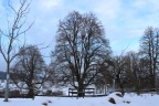 IMG 0299