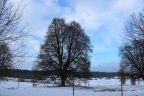 IMG 0300