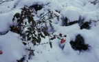 Winter 2022 0001