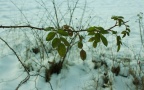 Winter 2022 0003